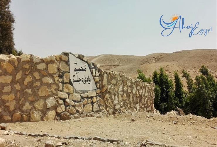 Wadi Degla Protektorát